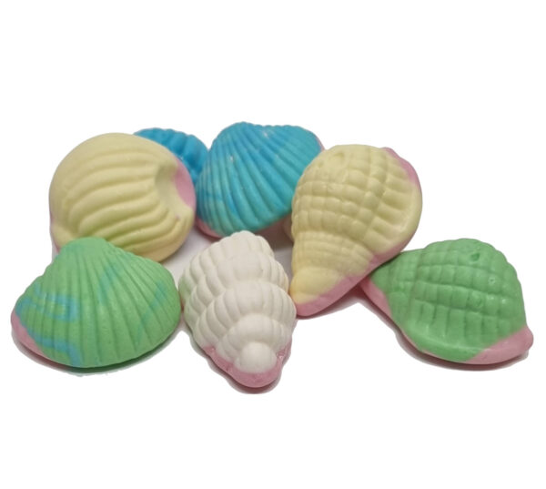 Sea Shells Lollies | 2